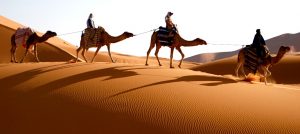 cameltrekking-in-marocco