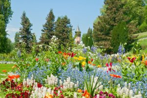 isola, mainau, fiori, primavera, estate, turisti, passeggiata, flora, fauna,