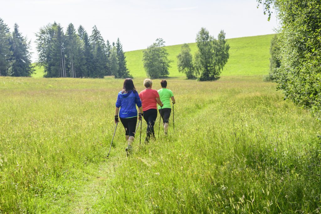 Tre donne fanno nordic walking nella natura